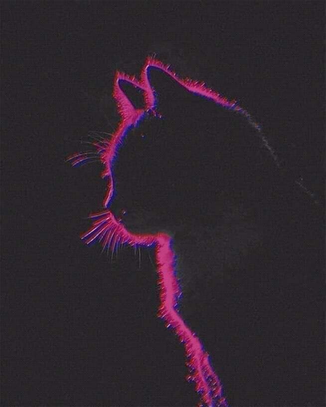 meow rawr