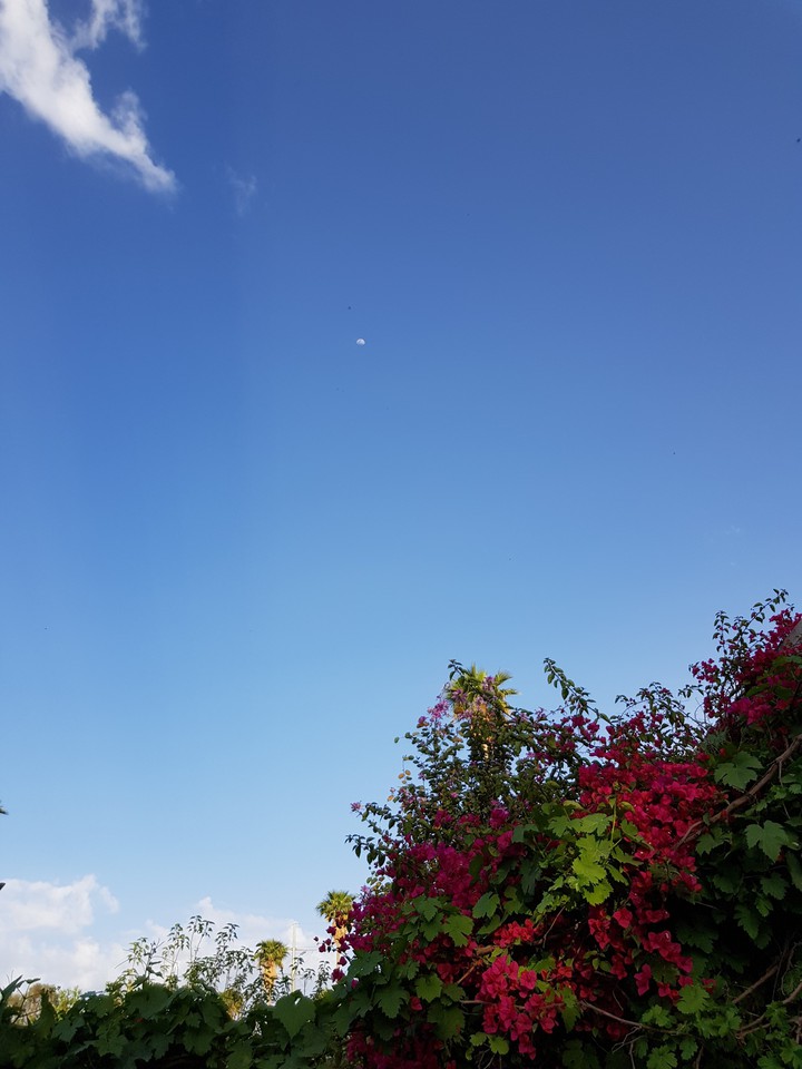 sky