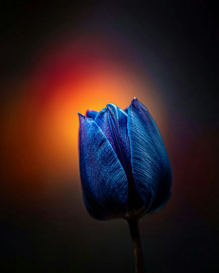 ✨❤️✨