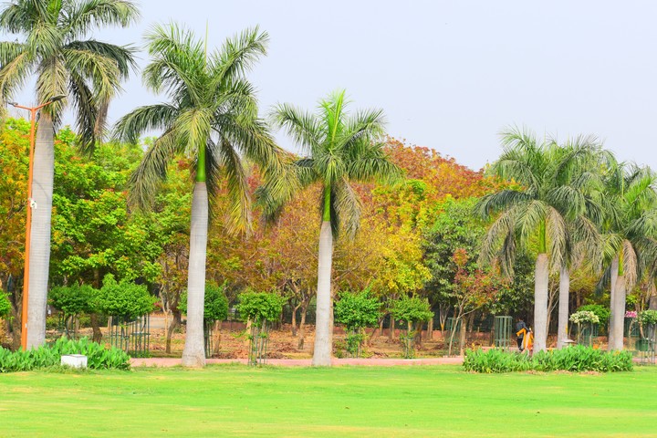 Landscape