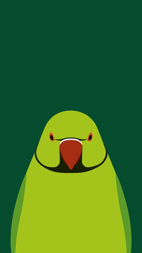 Green Parakeet