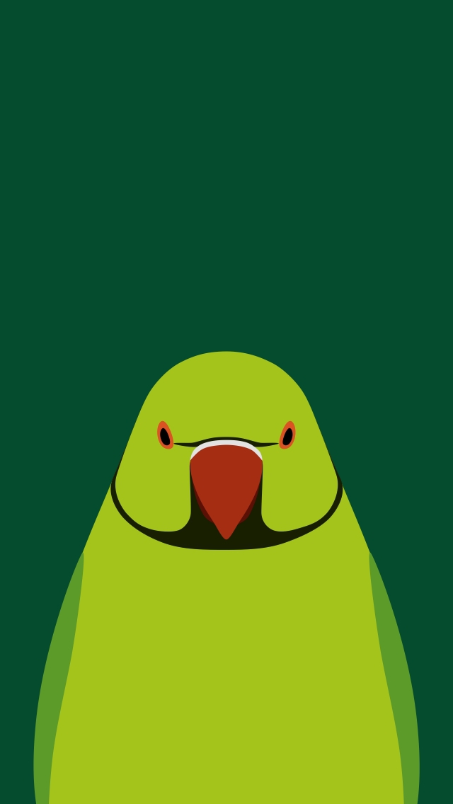 Green Parakeet