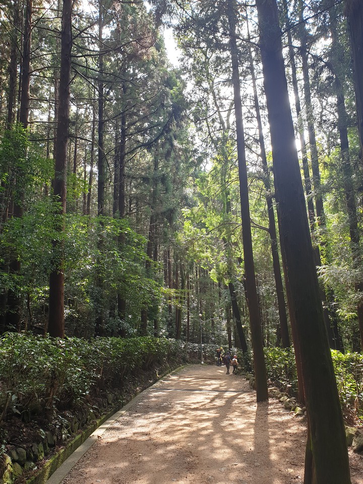 trails