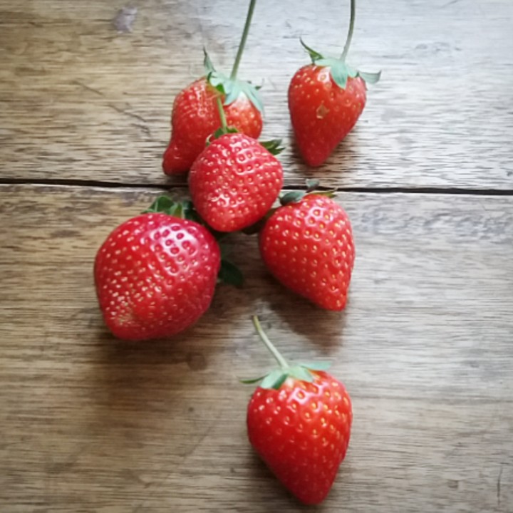 yummy 