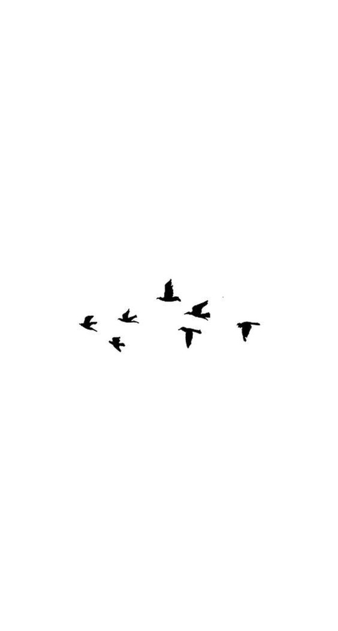 Crows