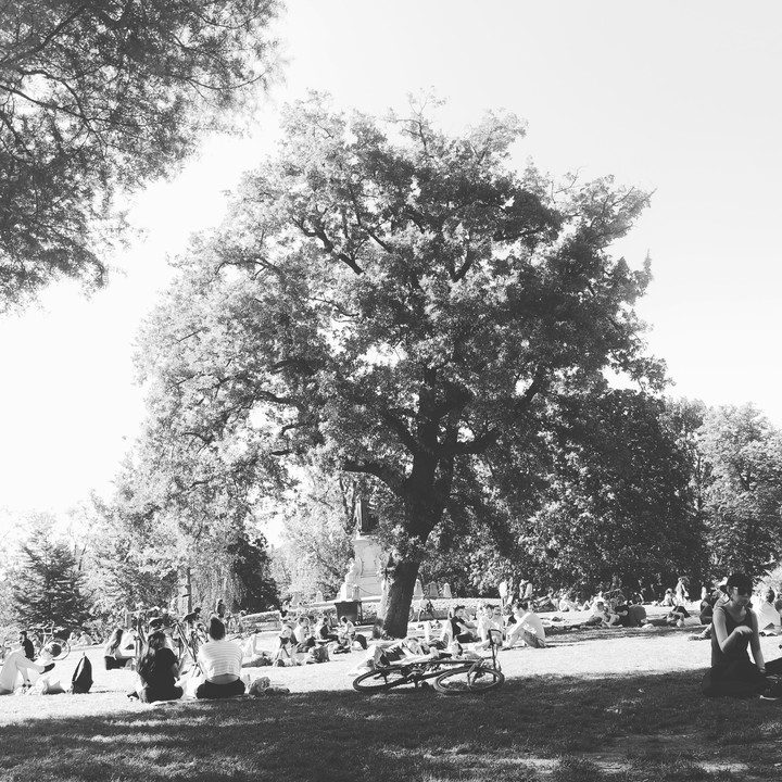 Amsterdam, Vondelpark.