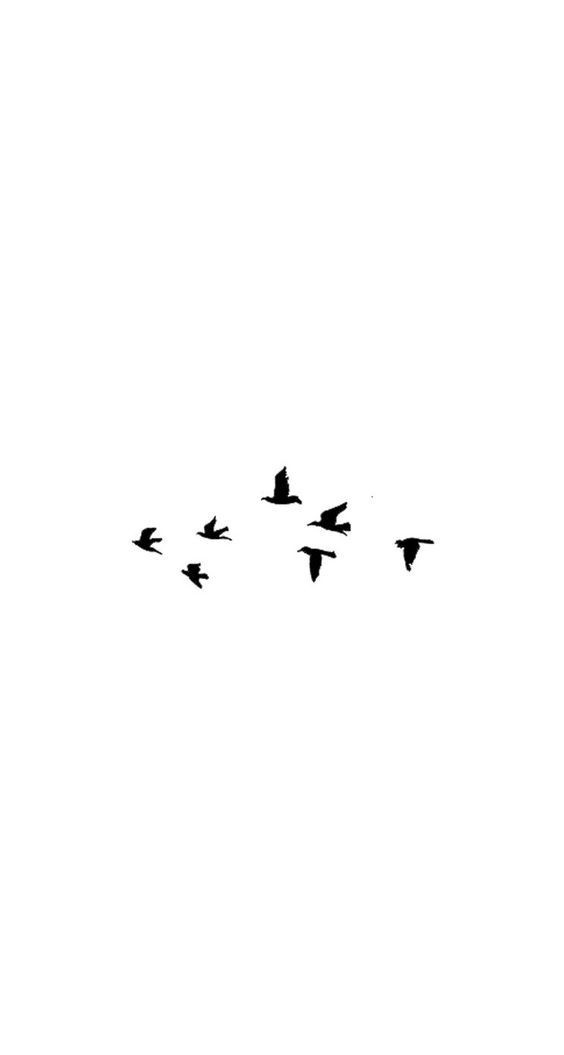 Crows
