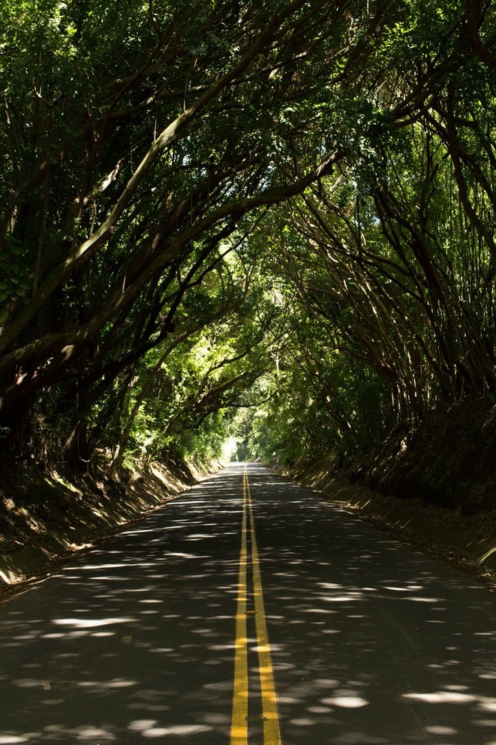 Old Pali Road