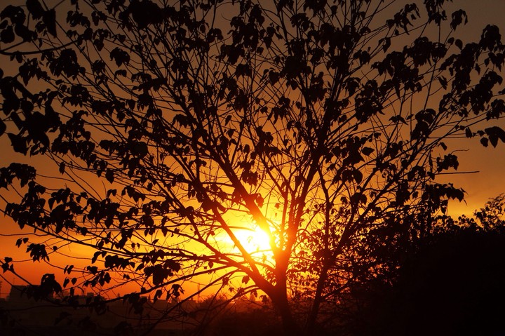 beautiful sunset