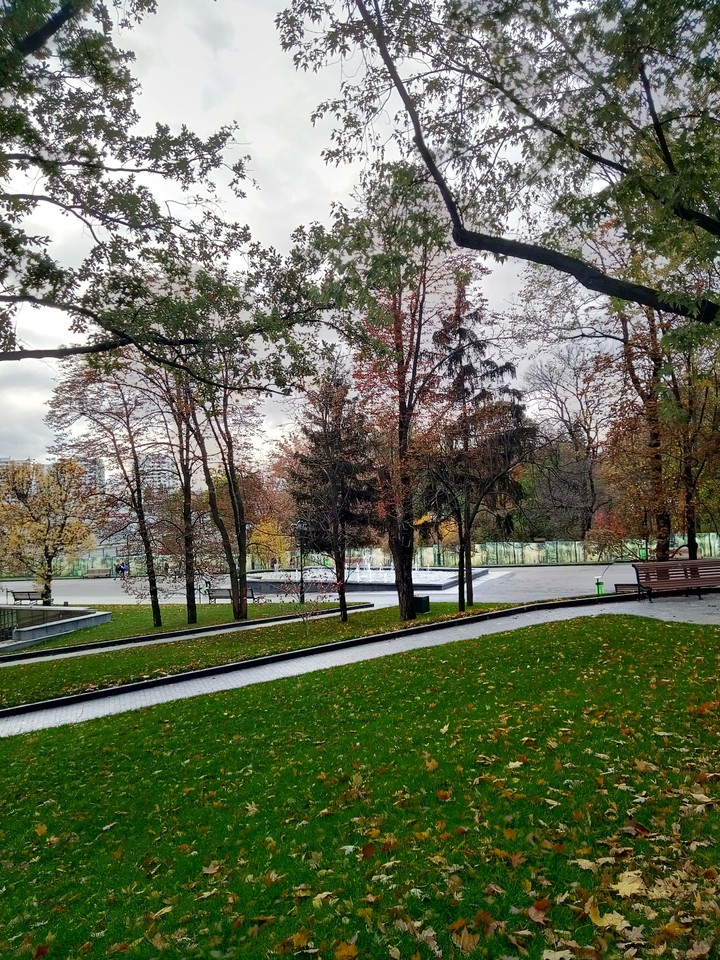 Autumn