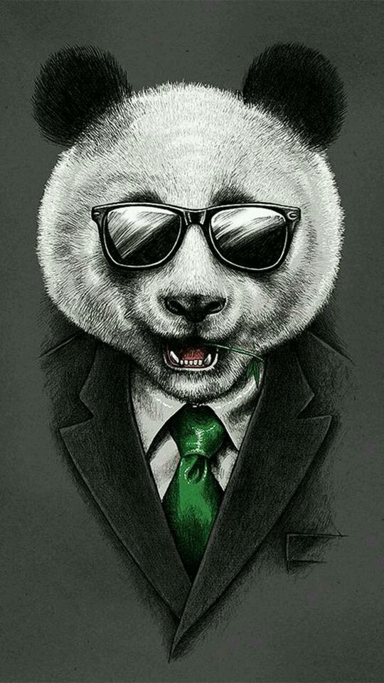 panda