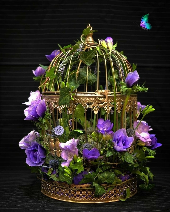 birdcage