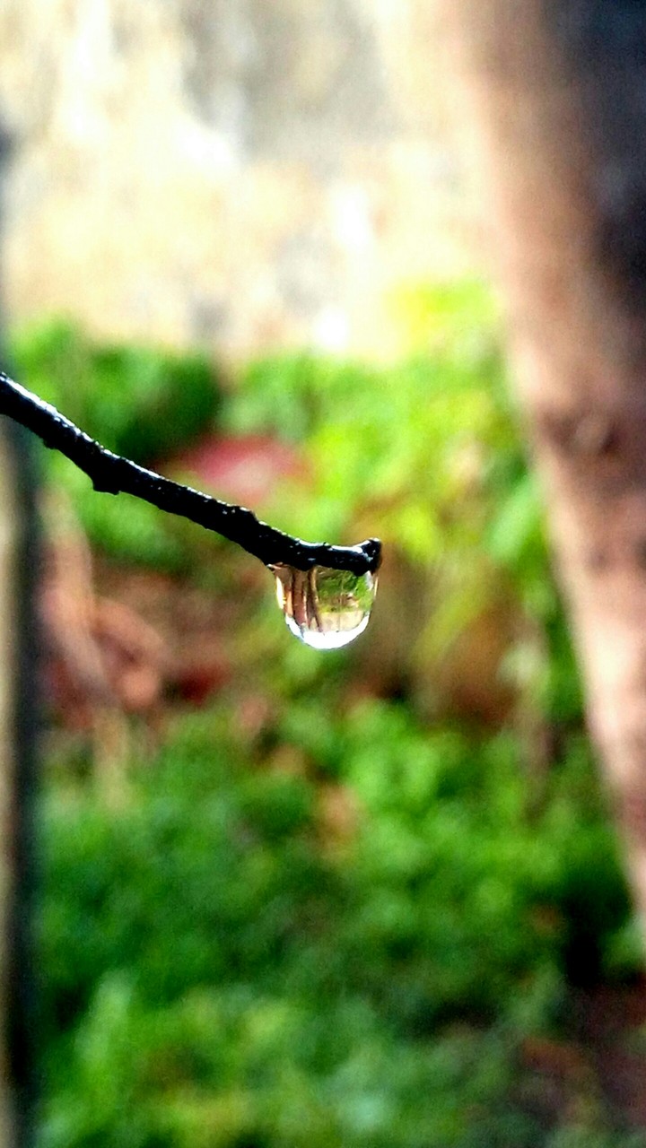drop
