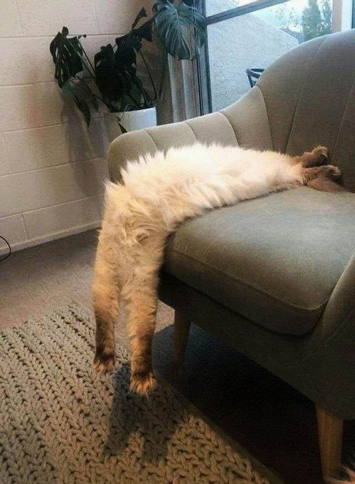DEAD TIRED