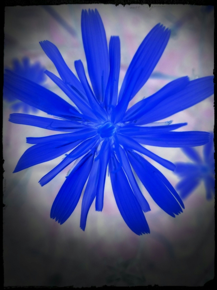 Blue.