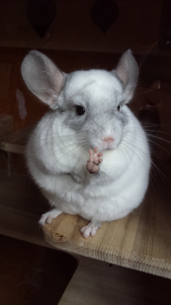 hi!