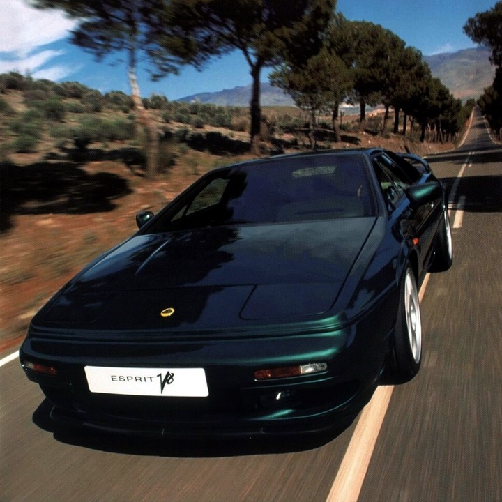 lotus