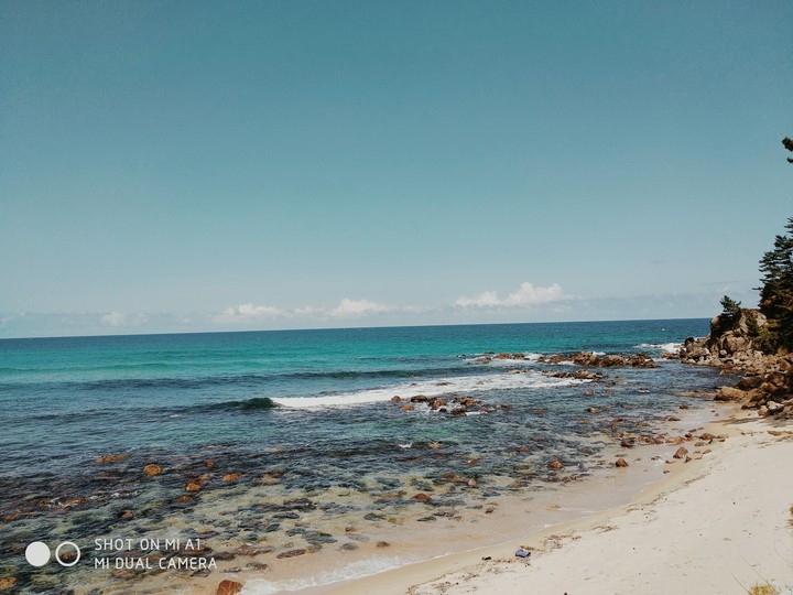 Sea
