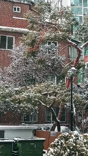 紛紛春雪