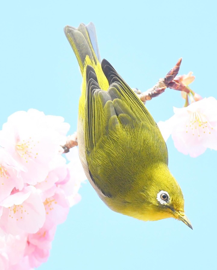 ♡~♤~♡