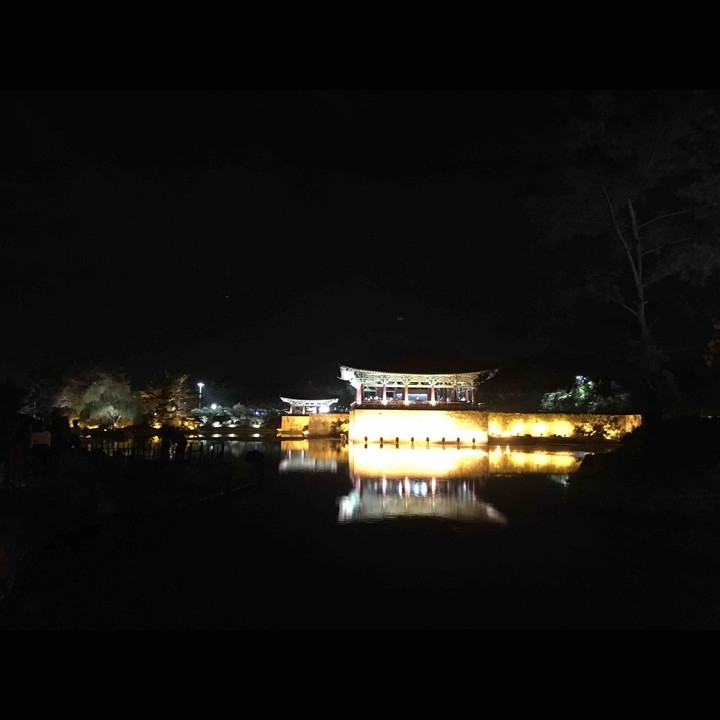 경주의 야경