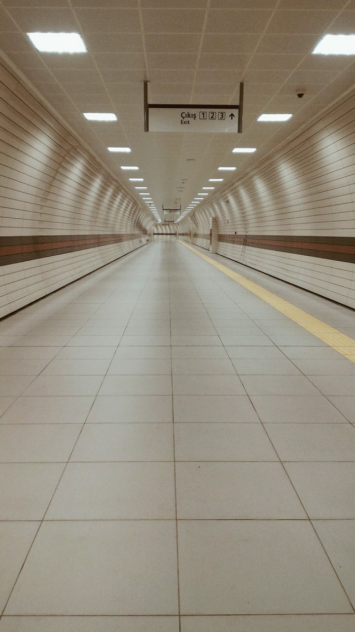 Çıkış