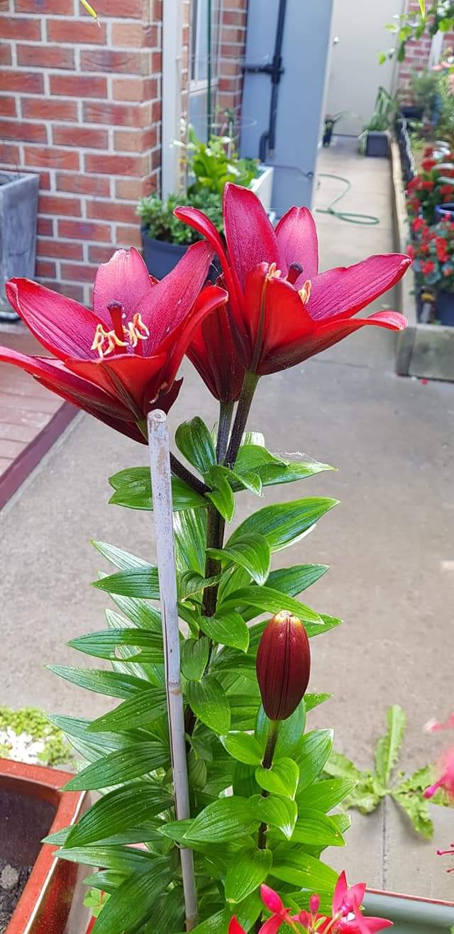 ❤