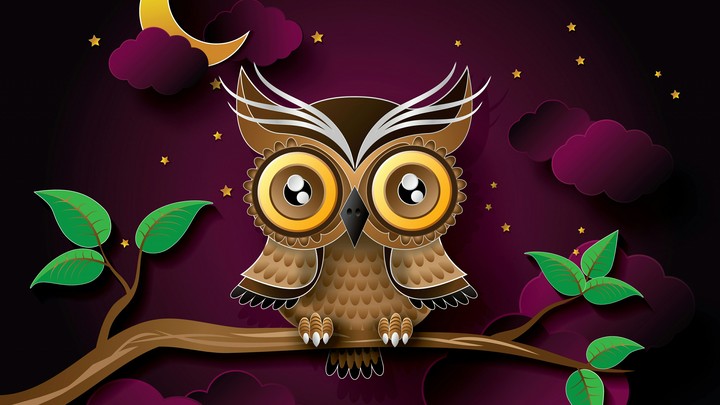 Owl
