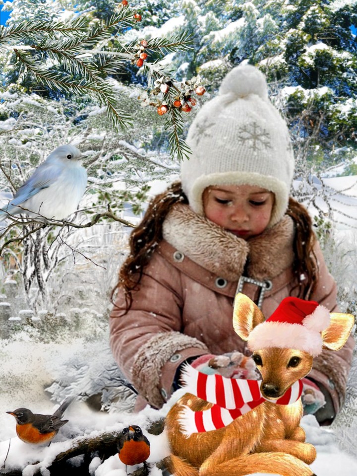 Weihnachtszeit