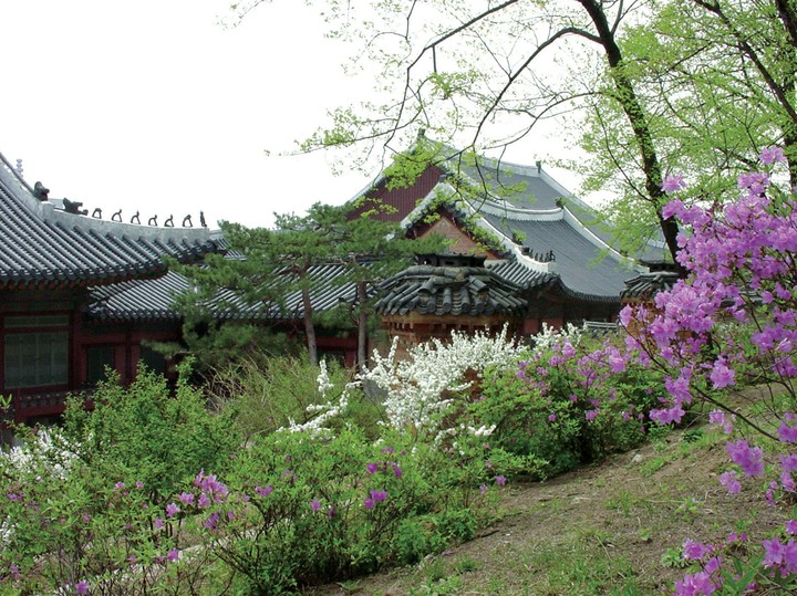 풍경이미지