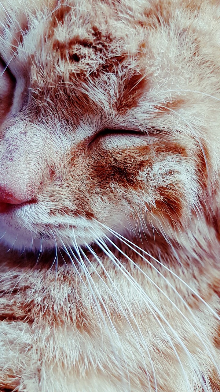 A rainy day full of love.
