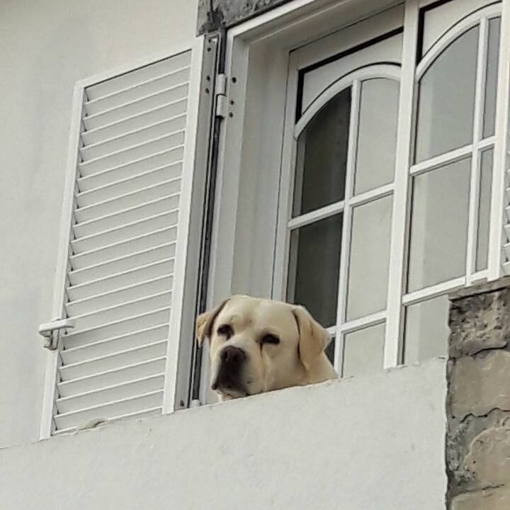 утро