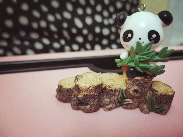 panda