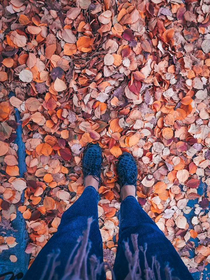 Autumn colour