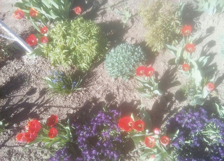 flowers
