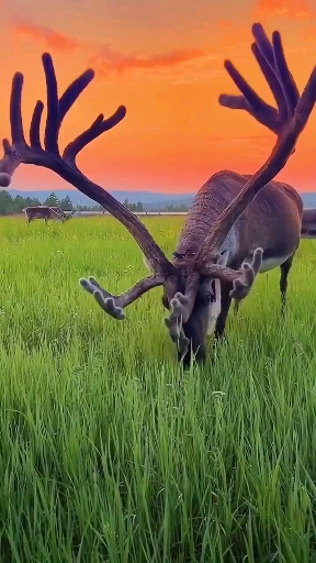 nature at its best