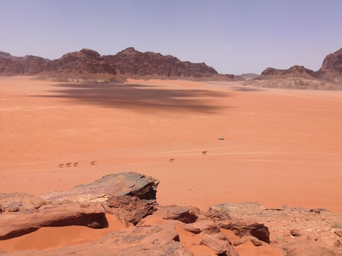 wadi rum