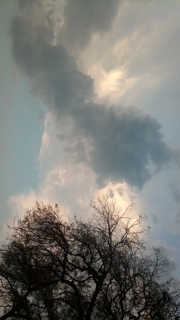 #nofilters #nature at its best