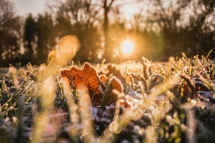 Sunrise