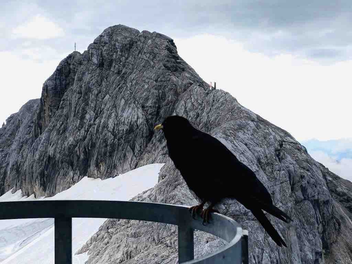 Dachstein
