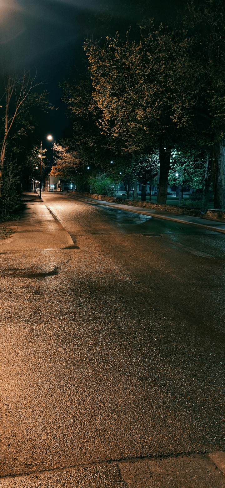 Night