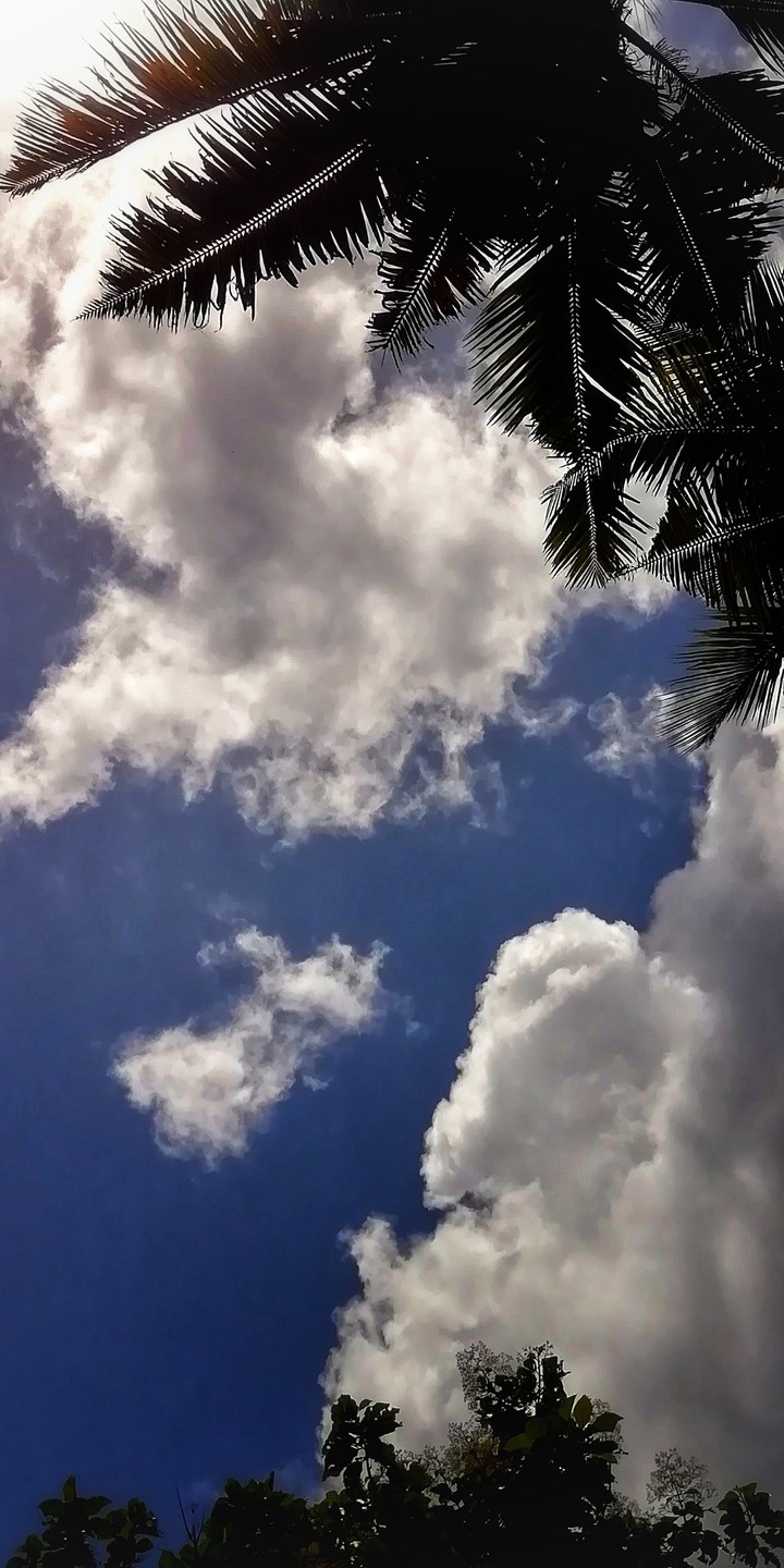 sky