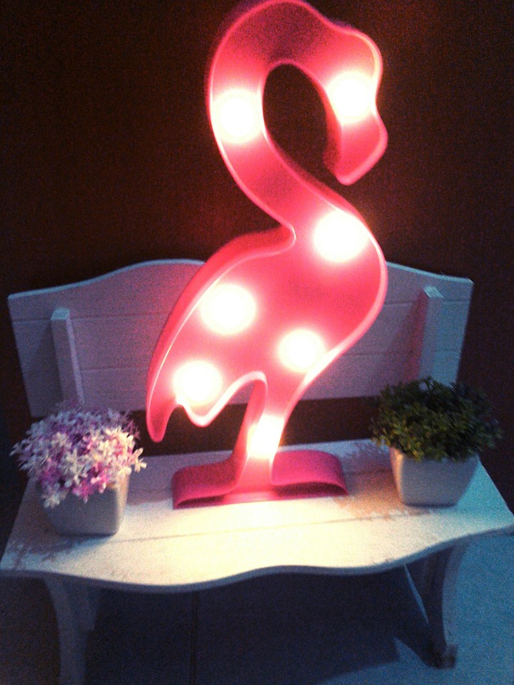 flamingo