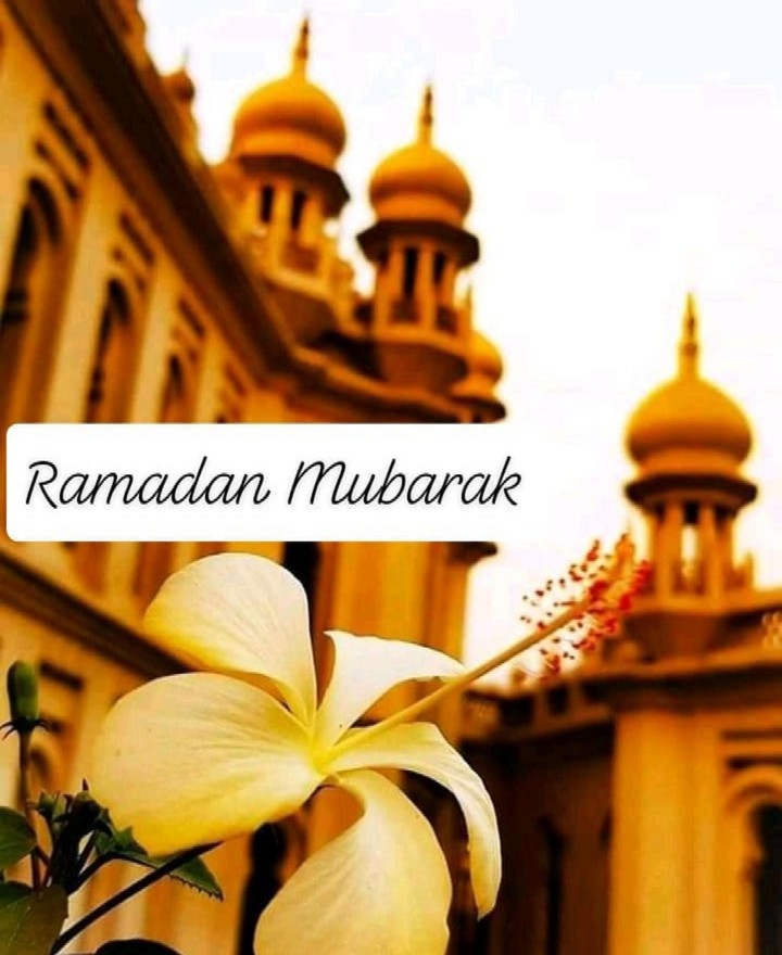 Ramadan Mubarak ❤