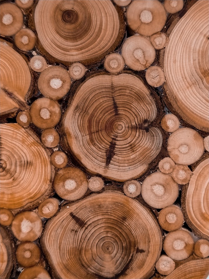 Woods
