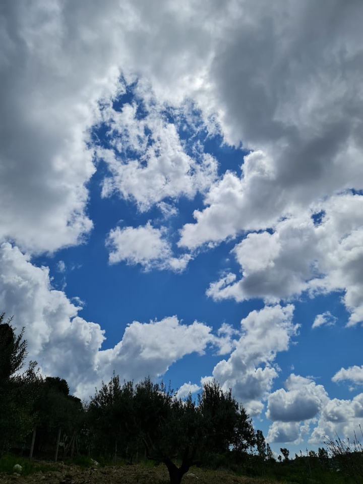 sky