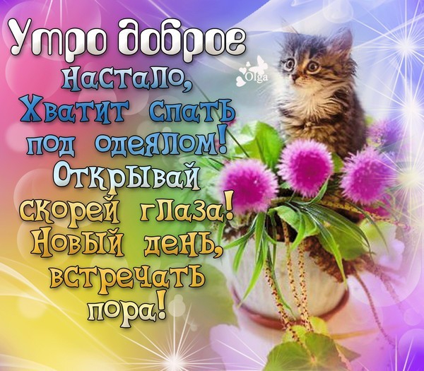 врпп