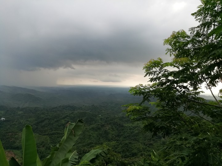 Nature