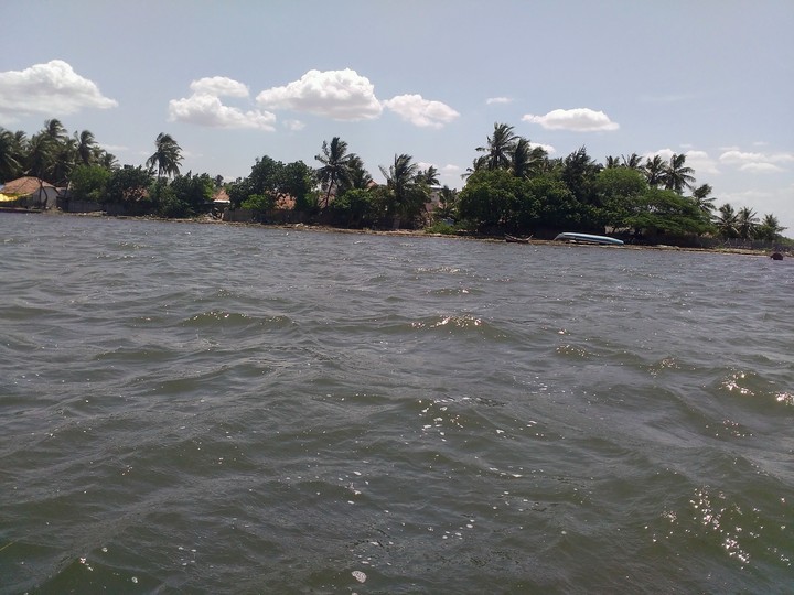 My area