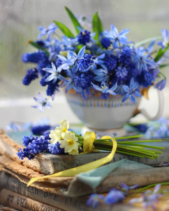 Spring